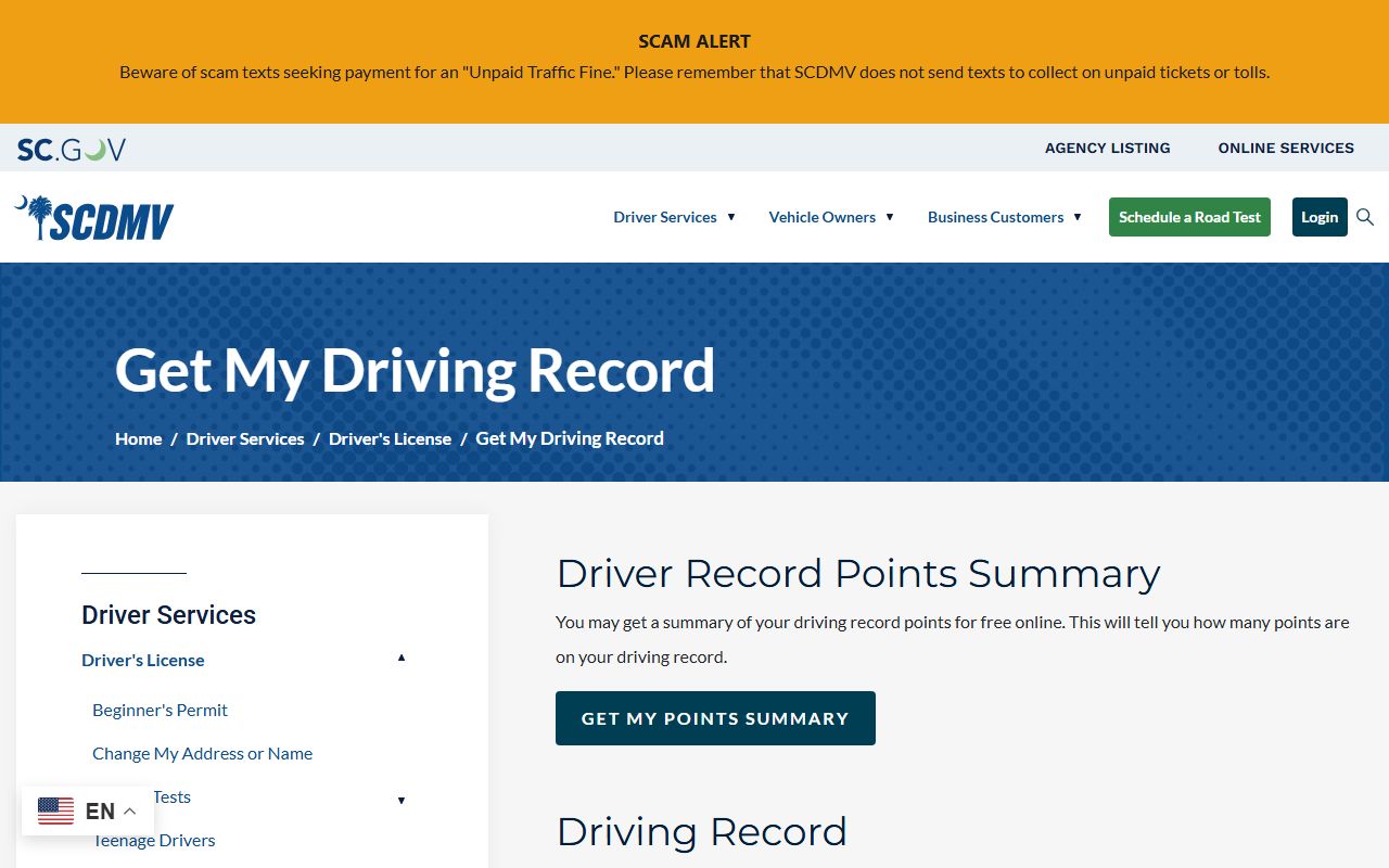 Dorchester County traffic court records SCDMV driving record page